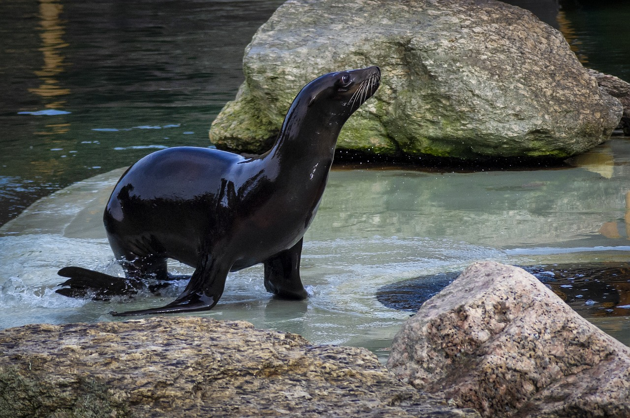 Zoo - Dortmund